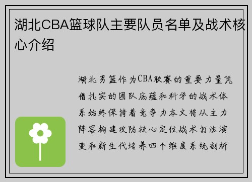 湖北CBA篮球队主要队员名单及战术核心介绍